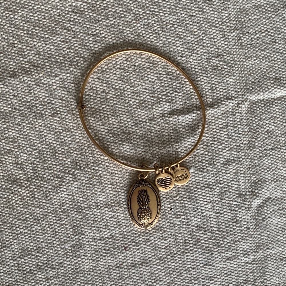 Pineapple Alex and ani